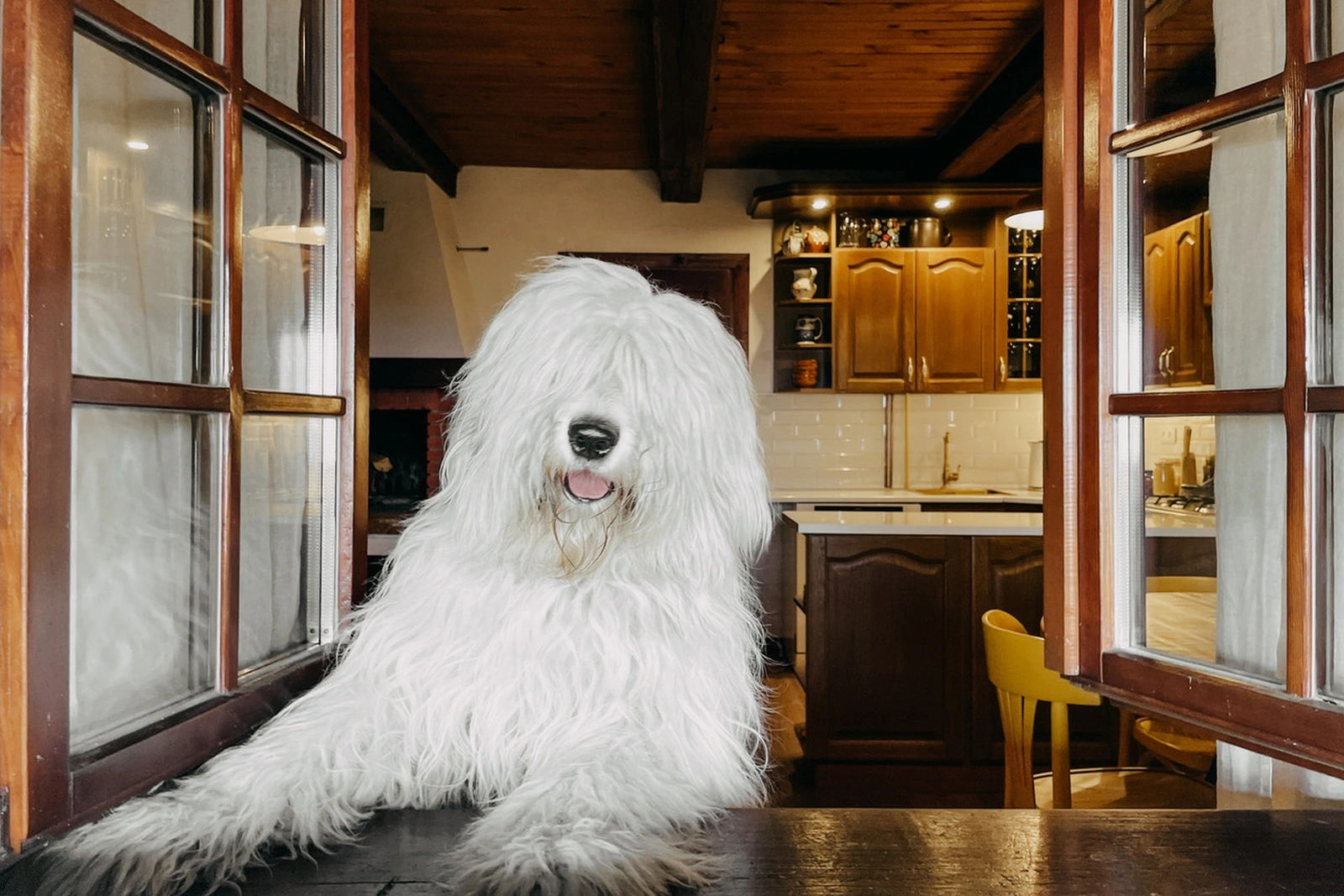 Siedlisko nad Mamrami